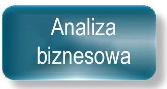 Business Analysis